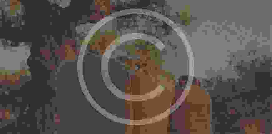quote_bg.jpg
