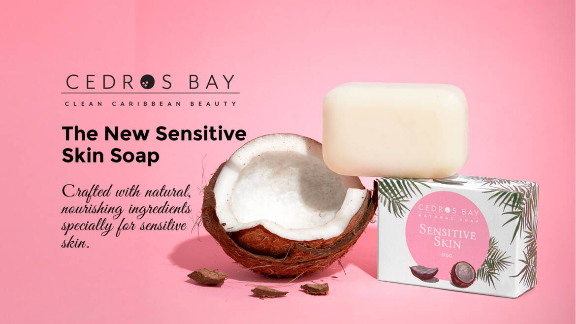 CGA-New-Product-WebSlide-Nov2024_Sen-Soap-2.jpg